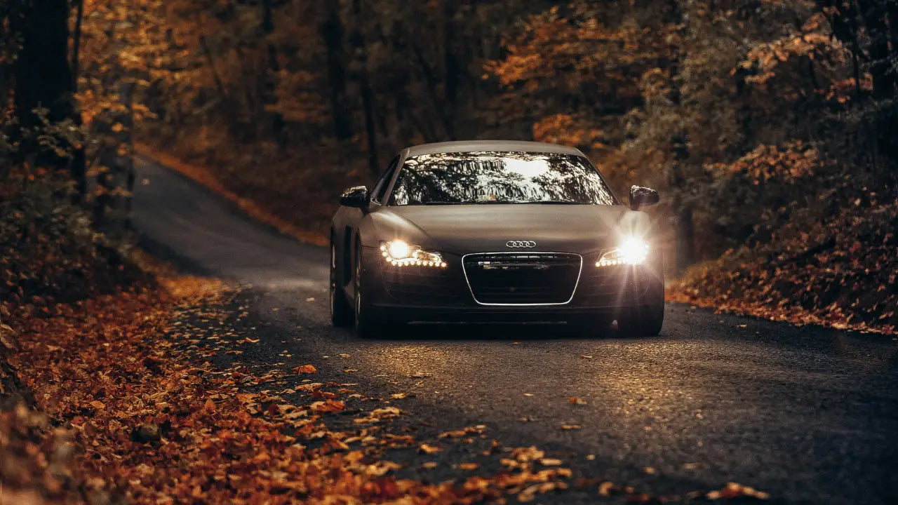 Best Fall Car Accessories to Boost Comfort, Safety, and Performance