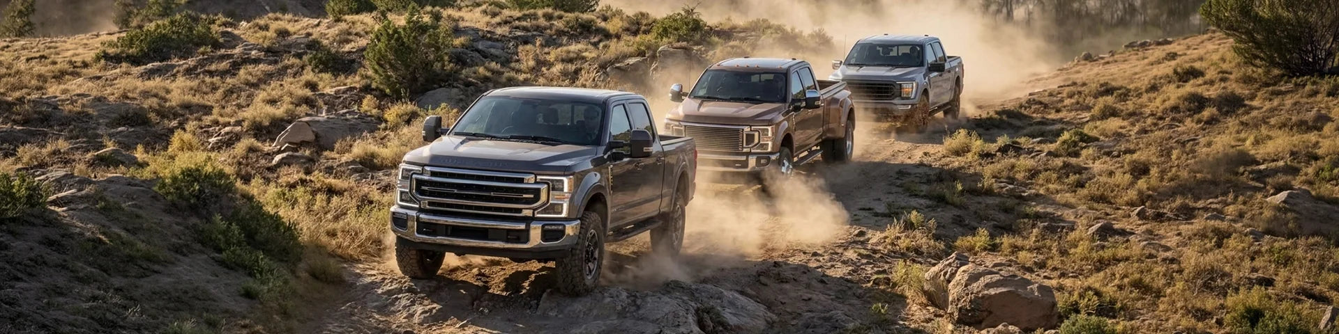 Ford F-Series Trucks