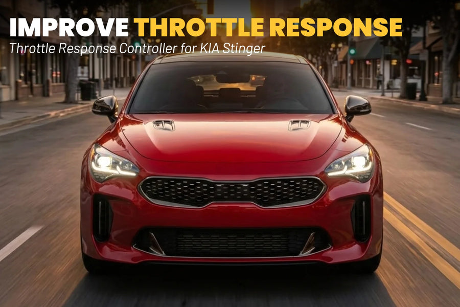 Kia Stinger CK (2018-2023) (2.0L T-GDi - 2.5L - 2.5 T-GDi - 3.3L T-GDi V6 - 2.2L CRDi)