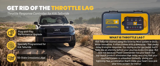 PC71 / Kia / Telluride / 1st Gen (2020-2025) / (3.8L Lambda II V6)