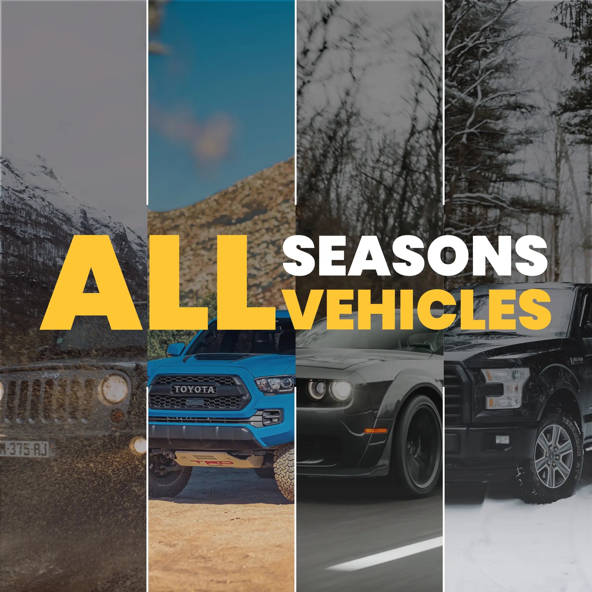 all seasons vehicles