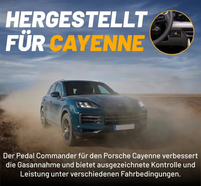 PorscheCayenne