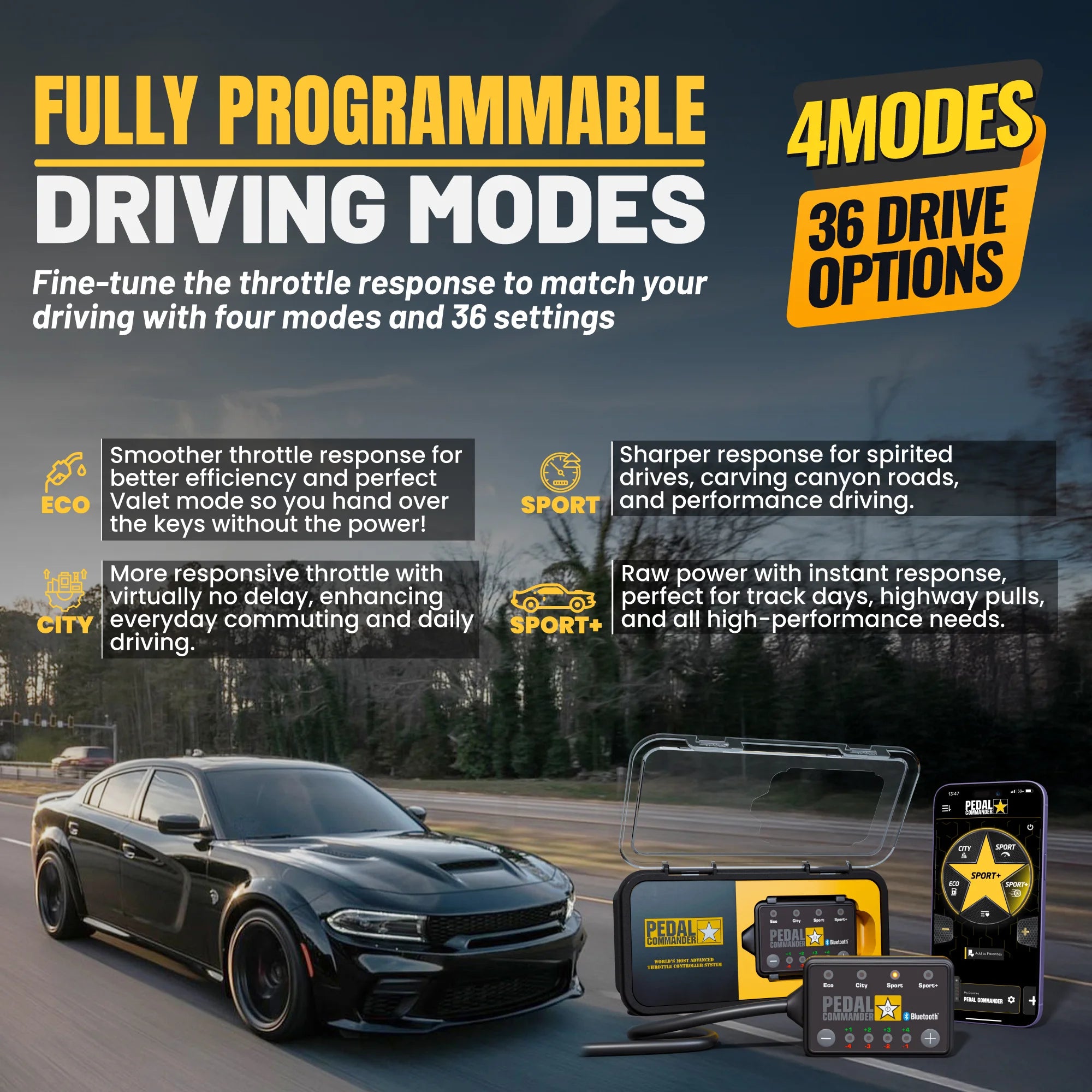 gallery-modes-Dodge-Charger