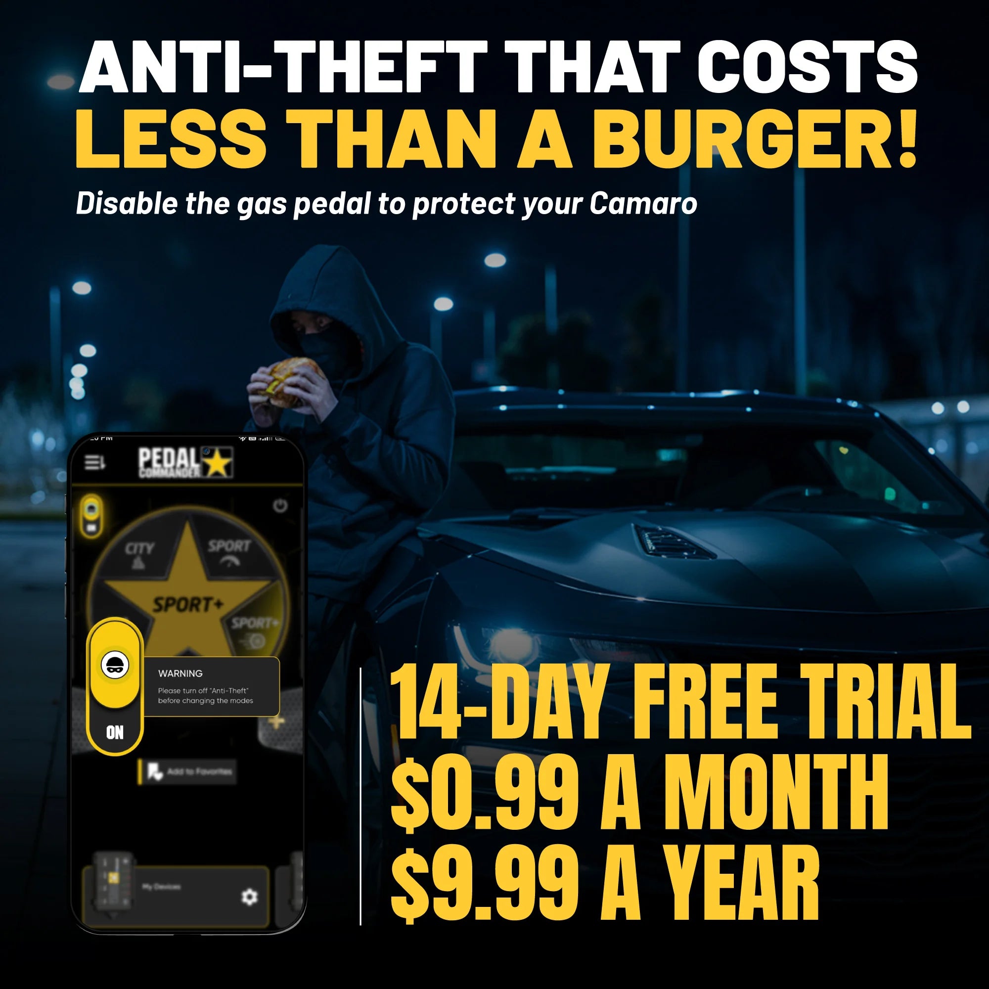 gallery-theft-Chevrolet-Camaro