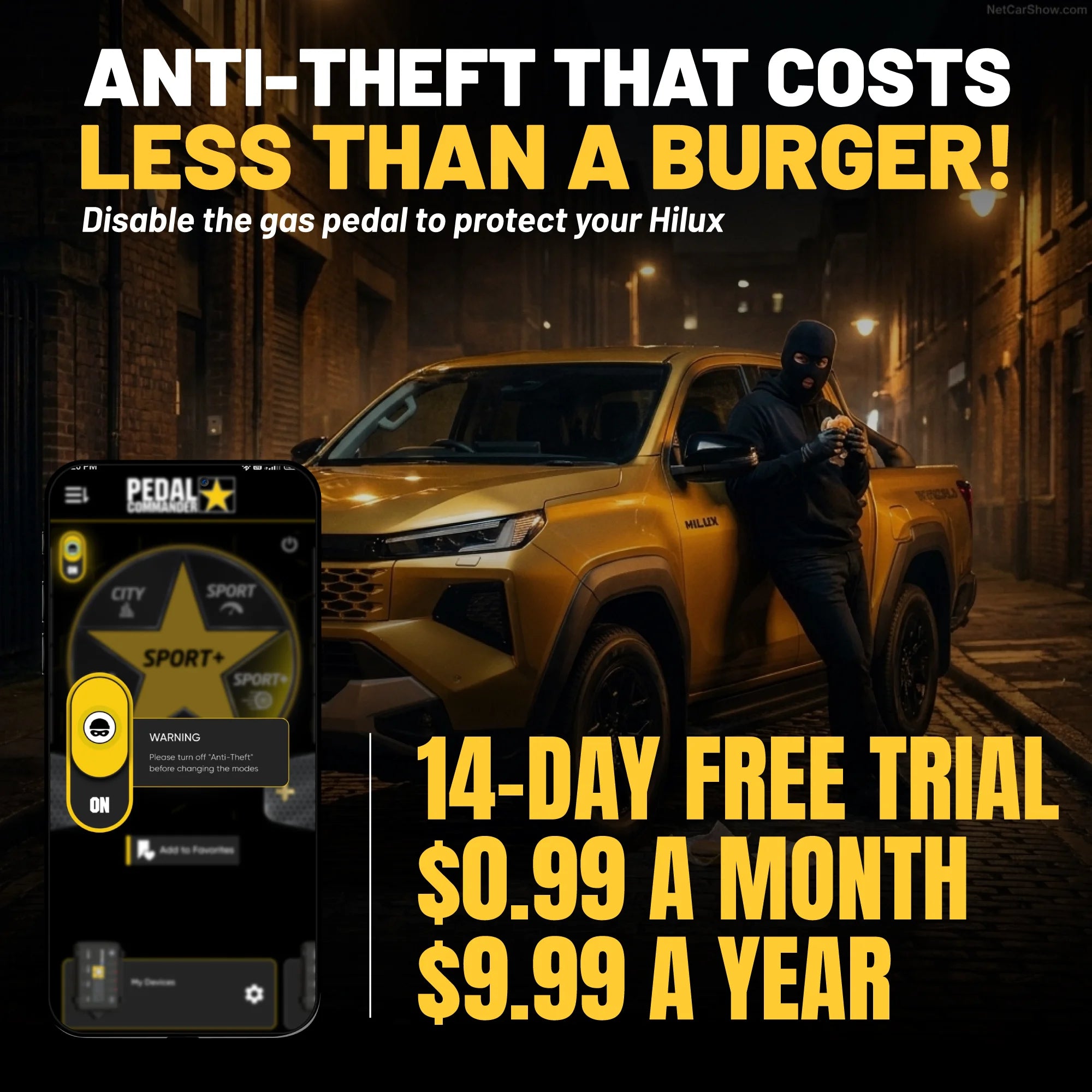 gallery-theft-hilux