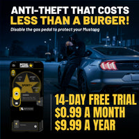 Advertisement for a car anti-theft system with text and a car in the background.
