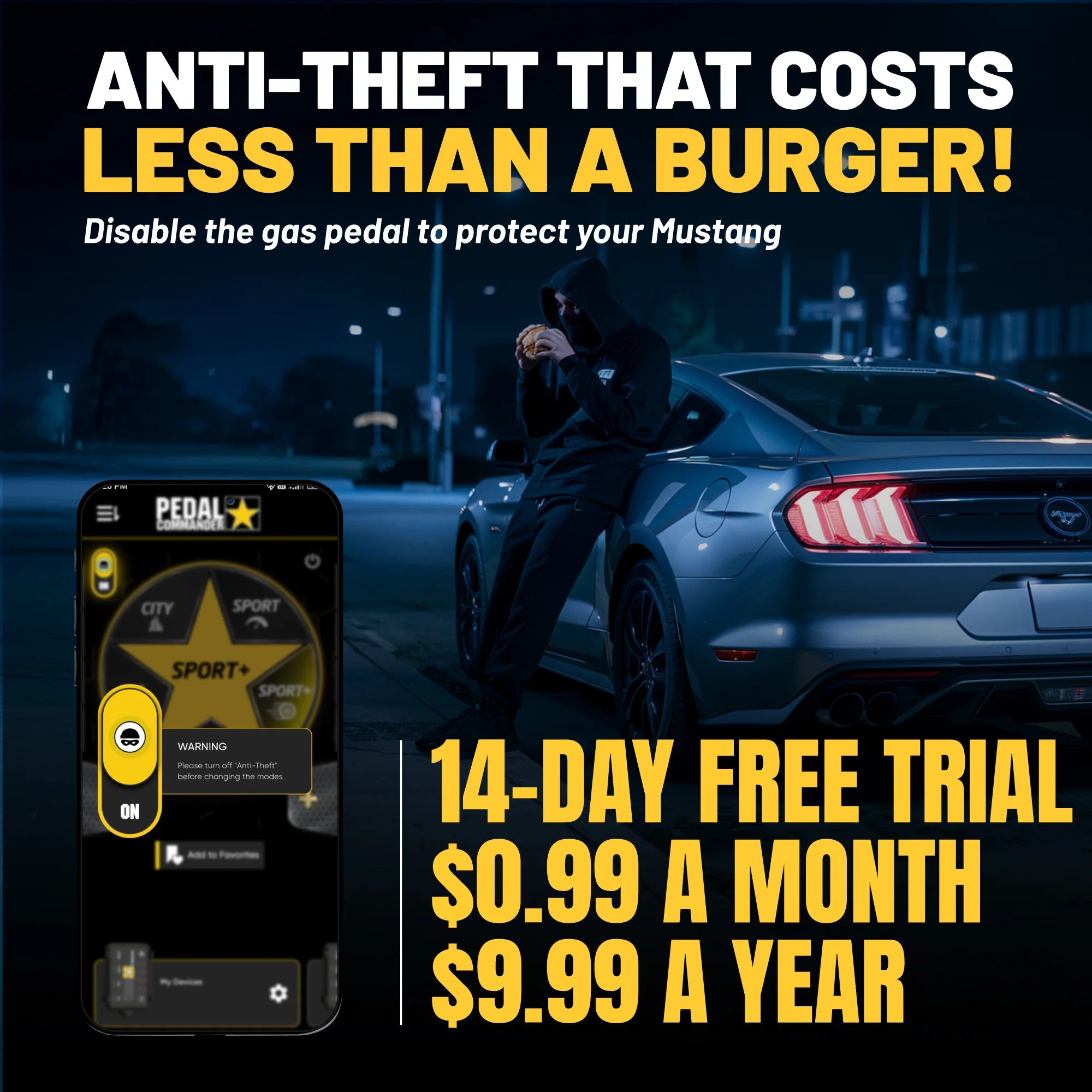 Advertisement for a car anti-theft system with text and a car in the background.